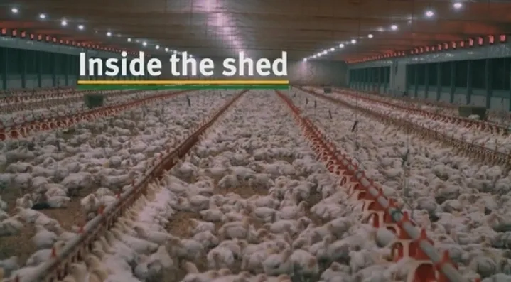 Farm Image 2